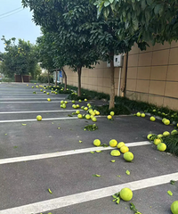 ��ͣ��λ˭��ͣ��һ����С�Ĳ���ӵ�и��������