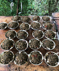 һ����ף����ǰӰ�ϯ����