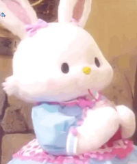 ������ֵ�������ȵ綯��Ħ�ݽ���153������������19