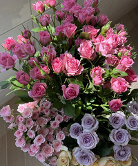 10Ԫ�ĵͼ�õ�嵽����Ʒ�ʳ����������Լ۱�֮��