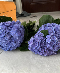 9.9�������������տ������������̫������