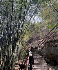 96��165CMҽ����ҵ���������飬����2ֻè��