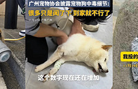 ������ô�ˣ�Ƶ������Ͷ���¼�����֤�������һ��