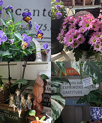 ÿ��һСʱ�ֻ���Զ������մ�����