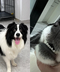 �����ӹ���������Ҵ���ȥ����