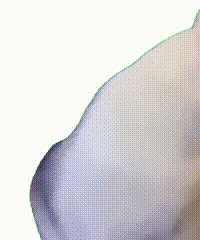 ������ֵ���򡿰�����˫����6Ƭ37������ݽŰ�30��24