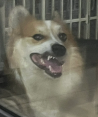 �����ó��������׺����Ǹ�Ʒ�ƵĲŷ��İ�