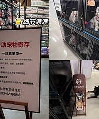 南坪胖东来永辉只能寄存小狗,大狗别来