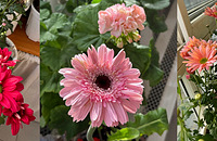 �����ֵ��л�С�գ��������¾Ϳ�����ô�ã�̫����