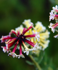 90겻̵ʨ飬ϣԷ87~95