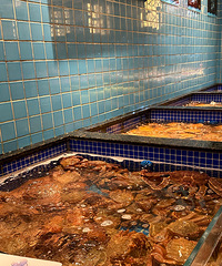 ������������Ҳ����������԰���ö඼����ʶ