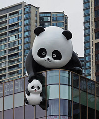 �ذ�������·����һ������ҵ��