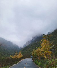南川即景,金山湖-德隆镇银杏村