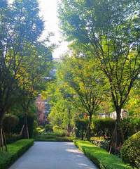 ��������ʹ������ͳ�����