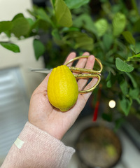 ����һ����������ͽ���һ�����ӣ����ߵ���ô��