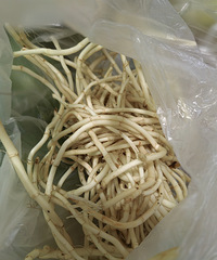 ������������ˣ�ˬ���ᣡ����ȥ���Ź���