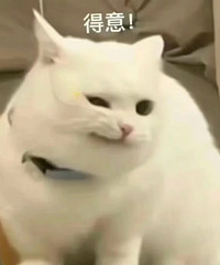 嘻嘻嘻,楼上和楼下邻居都装了地暖!