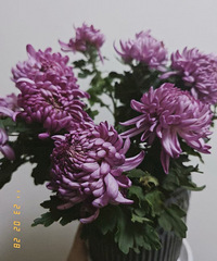 �������̨����һ���羰���춥��;ջ���������