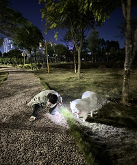 �����ǣ�����Ҳ��Ͷ���������ˣ�����Χ��������