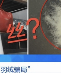 儿童羽绒服也造假,检测报告成本一两元钱