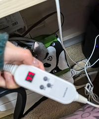 ������˰칫�ұر������������ˣ�ţ�����˻����Լ���ȡů�豸