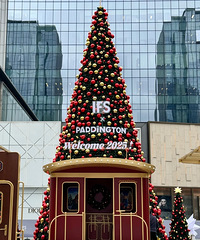 2025����ʥ�������մ�ָ�ϣ������̳�����PK������ϲ����