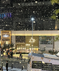 2025重庆圣诞节拍照打卡指南,各大商场美陈PK,你最喜欢哪