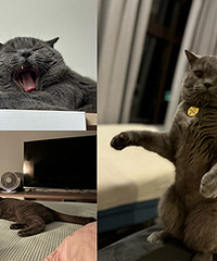 è����6���Ҫ�Է������ֻ����ӻ�׼ʱ