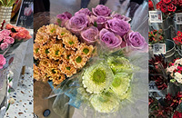 �����ʻ�̫���ˣ��������ʼ۸�������һ����ʮ����