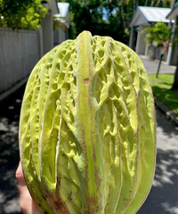 �����ˣ��������ҵĹ��ӣ���Ȼ��2980һ��