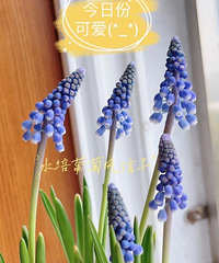 15������ѷ��������������ֺ���������ˮ��