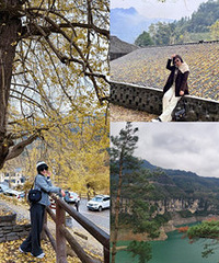 南川即景,金山湖-德隆镇银杏村