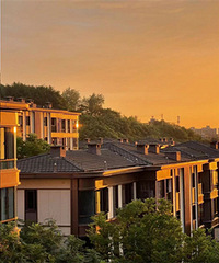 �ĵ�����ĸɽ�ľ������䣬˴ɽ������ֵ���û��˵