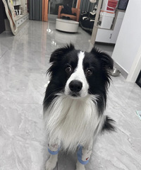 ��˵��������ˣ��²¹�������������ɶ