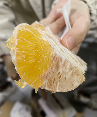 �Դ����˰������Ʒ�ֺ���ĺ�ϲ���Գ��Ӱ�