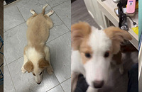 ��3000��ı�����������������ֵ����������