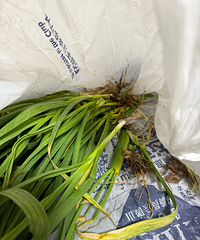 ��ҹ���·�����ع���YYDS