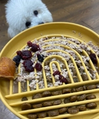 �����ñ��ף����ļ�������