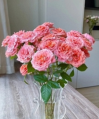 �������õ�廨Ʒ�ʺܺ�