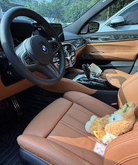 ��3ϵ����6GT������Τ��������һ��һ����֨��