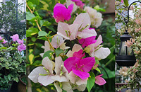 ������ͷ������÷�����ú�ȫ�����ɣ��ٽ�ˮ��ʩ��