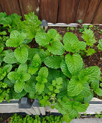 ���ˣ������ٺ���ÿ����ˣ��Ͻ�������޴��ұ�ů