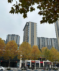 ����պ�����δ�����·�������ź�Ҽ���͍o����������