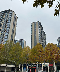 ����պ�����δ�����·�������ź�Ҽ���͍o����������