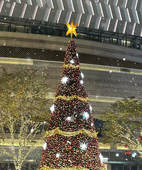 GM�����������Ư���ö�����