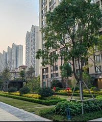 ������������Ѫ����400ƽ155w