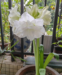 ��һ��������ôƯ���Ļ��������ֽа�����