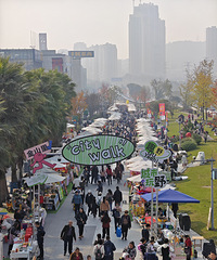 �˼ҺͰ���ȷʵ�������У����Ĳ�������