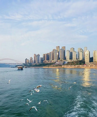 Ϊʲô˵�������̬�����ǹ��ڶ���������һ����