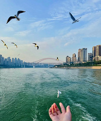 Ϊʲô˵�������̬�����ǹ��ڶ���������һ����